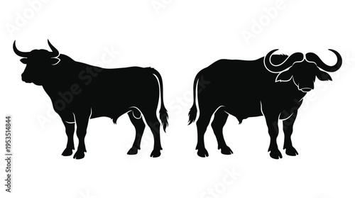 Two african buffalo stand facing different directions black silhouette