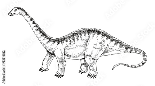 Diplodocus dinosaur hand drawn vector