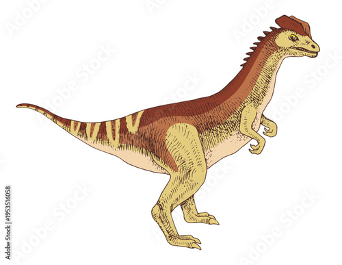 Dilophosaurus dinosaur hand drawn vector