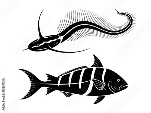 Fish vector illustration on white and black backgrounds with aquatic and marine design elements