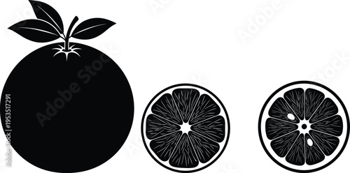 Black and white illustration of citrus fruits showing whole orange with leaves and two cross-sectional slices highlighting seeds and segments