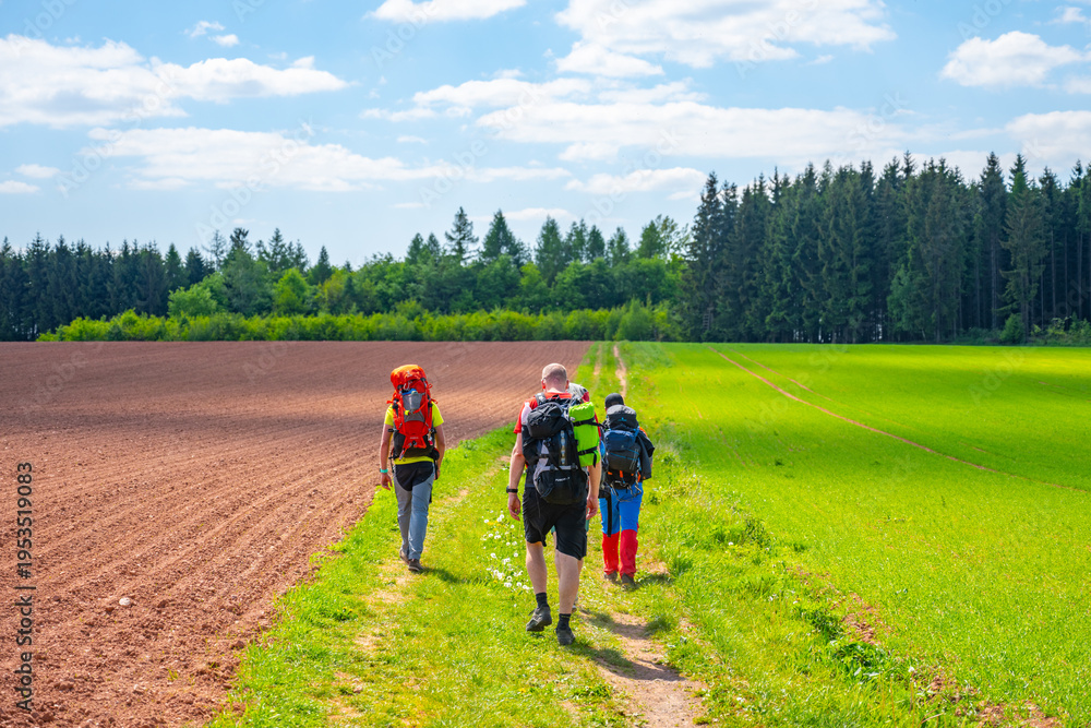 Fototapeta premium Four people walk on a path through agricultural land in Nova Paka, Czechia. Red clay soil and green fields are visible under a bright blue sky with clouds.