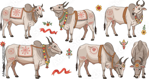 Decorated Indian cow vector set with traditional ornaments sacred cattle festival design and cultural livestock illustration