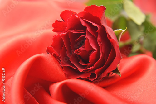 Background with red rose on satin or silk material. Holiday template with copy space.