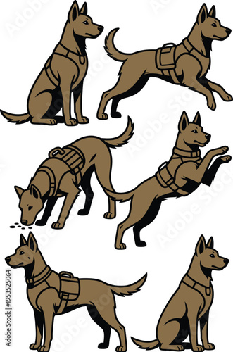 Set of illustrations depicting dogs in various poses and actions, showcasing their agility and working capabilities