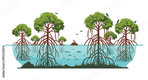 An illustration shows a mangrove forest ecosystem with trees, exposed roots, fish swimming in blue water, and birds flying above.
