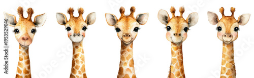 Cute baby giraffe watercolor illustration artwork featuring multiple young giraffes smiling, creating a whimsical children's nursery design or safari animal theme