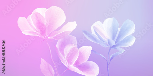 Pastel watercolor flowers creating a gentle botanical background, displaying soft pink and blue magnolia blossoms for a calming, artistic floral design on a gradient purple canvas