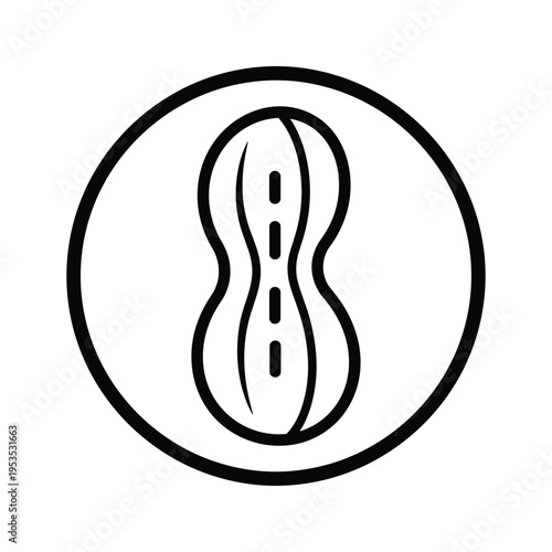 Peanut Icon in Circle, Simple Line Art, Vector Symbol