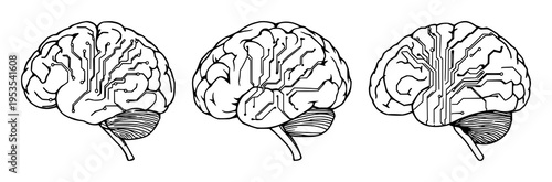 Brain set with intricate circuit board lines and electronic schematic details featuring neuron, electrical, schematic with metal and cybernetic