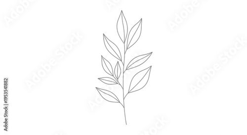 Minimalist line drawing of a delicate plant branch with leaves
