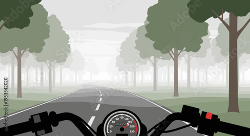 Riding motorcycle on a foggy road through trees, first-person view