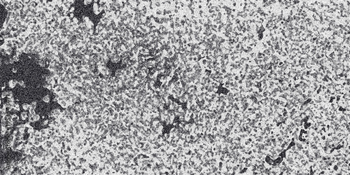 Close-up textured background of rough, speckled surface with dark splotches and granular details in monochrome for grunge or abstract design elements