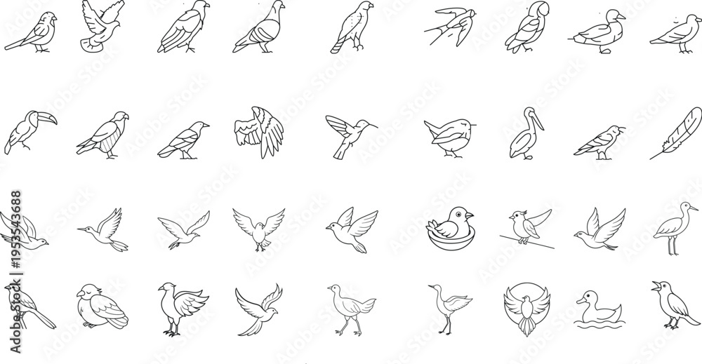 Fototapeta premium Birds Line Icon Set
