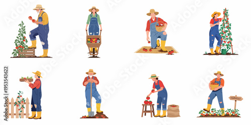 Set of diverse farmers harvesting ripe red tomatoes in various garden scenes, featuring flat vector character illustrations for agriculture and gardening themes.