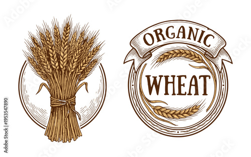 Organic wheat label and sheaf set in vintage hand drawn engraving