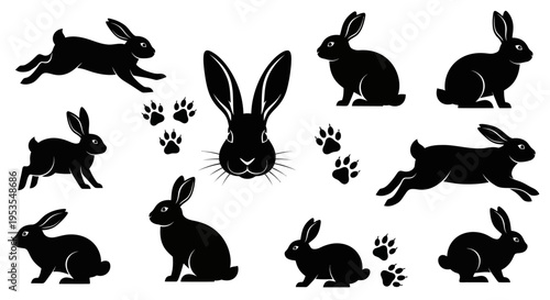 Black Rabbit Silhouettes and Paw Prints Set on White Background.