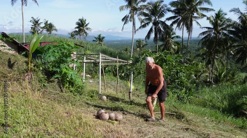 old man picking up coconuts 