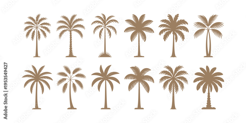 Fototapeta premium Brown palm tree silhouettes on white background palm trees tropical