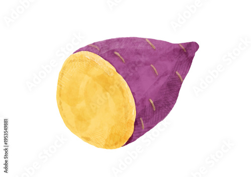Watercolor Japanese sweet potato cut in half illustration isolated