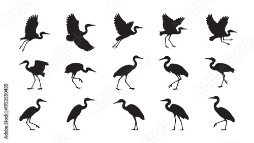 Black silhouettes of herons in various poses bird flying