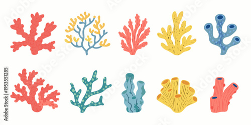 Colorful illustrated coral reef elements arranged on a white background