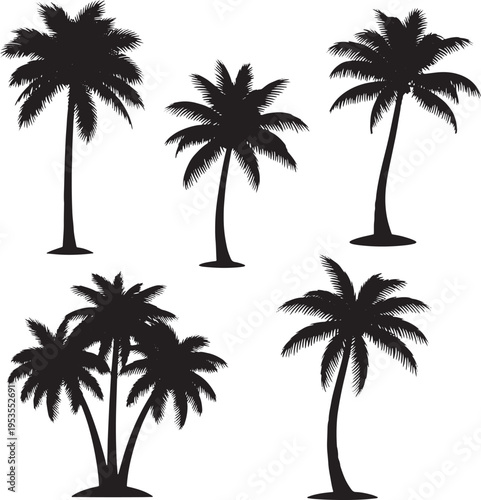 Diverse collection of tropical palm tree silhouettes, perfect for summer vacation designs, exotic island themes, and beach-inspired graphic elements and backgrounds
