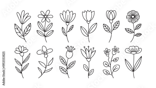 Set of 15 black and white botanical flower line flowers 1