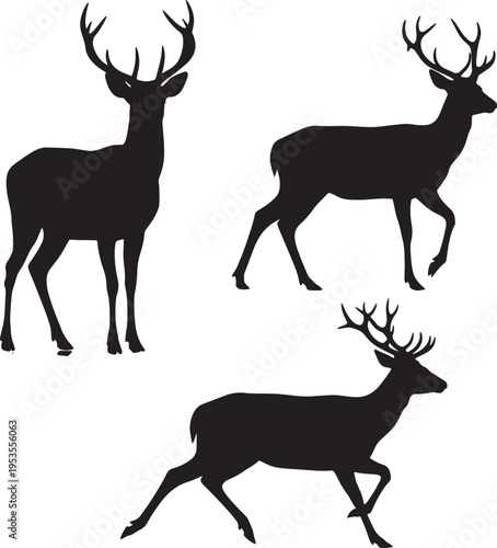 Three Majestic Deer Silhouettes Illustrating Nature and Wildlife in a Striking Artistic Composition