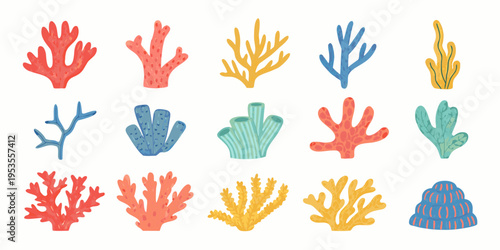 Colorful coral reef illustrations showcase diverse shapes and vibrant underwater life