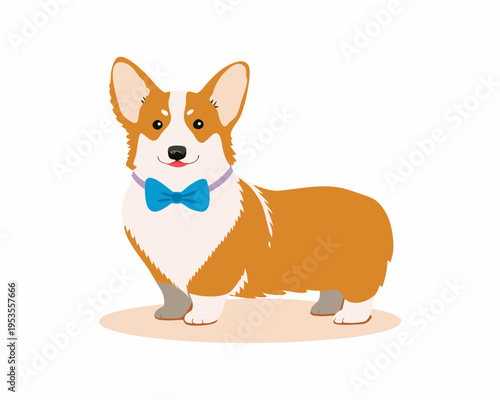 A charming corgi dog stands proudly wearing a stylish blue bow tie