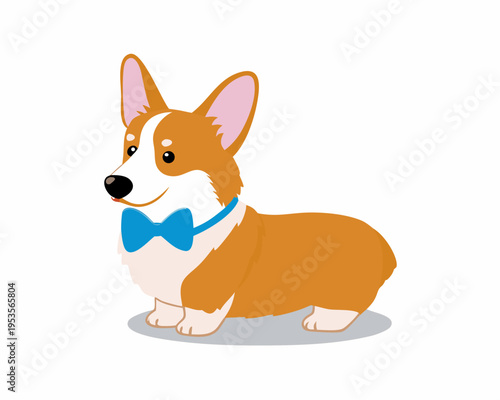 A charming corgi puppy wears a blue bow tie and collar
