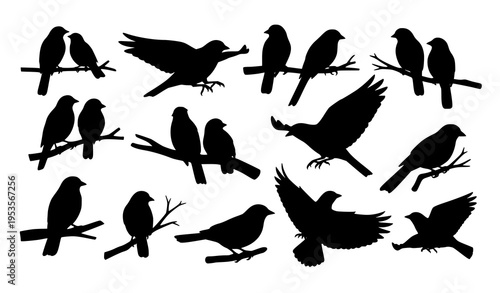 Bird silhouette collection flying and sitting on branch wildlife vector illustration