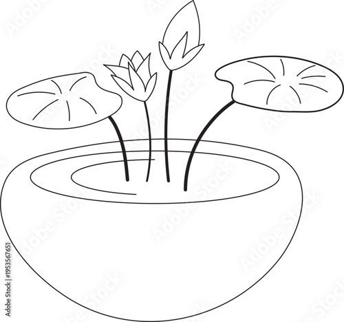 lotus plant pot hand drawn doodle outline