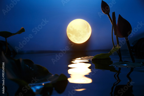 Full Moon Over Water with Lotus Flowers and Moonlight Ripples