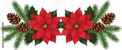 Christmas poinsettia floral arrangement with pine branches holly leaves and pine cones festive winter holiday decoration vector illustration