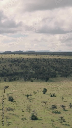 Expansive African Savanna with Scattered Acacia Trees and Distant Hills