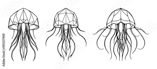 Jellyfish set with symmetrical line art illustration featuring geometric shapes, marine biology, abstract style with aquatic life and oceanography