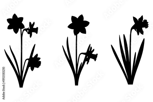 Set of narcissus flower black silhouettes vector illustration