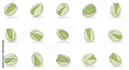Variety of pistachios in different orientations on white background