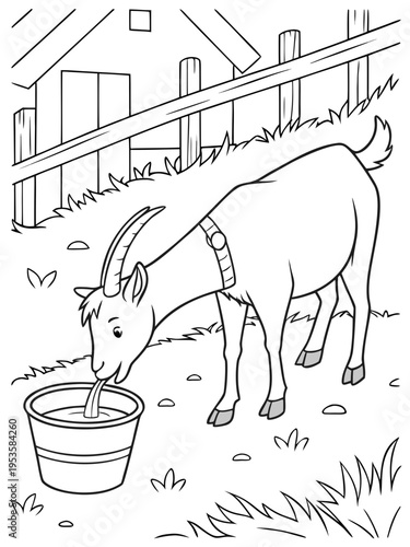 A goat drinking water from a bucket