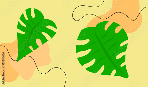 Two vibrant green monstera leaves with distinctive splits and lobes.