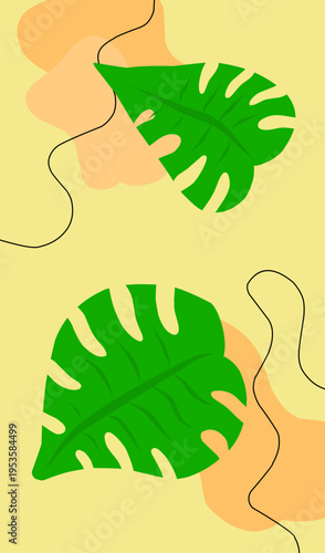 Two vibrant green monstera leaves with distinct fenestrations.