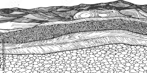 Vintage black vector illustration featuring a sketch of a crocodile skin pattern for a nature art design background