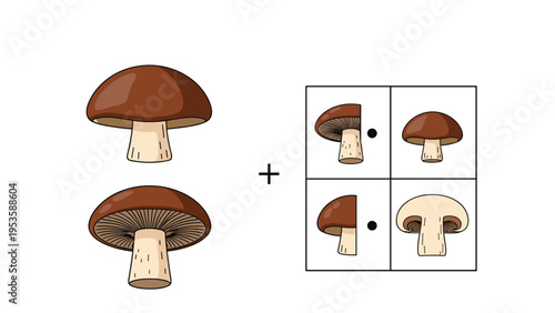 Educational mushroom matching puzzle for children featuring different types and parts of fungi for biology learning.