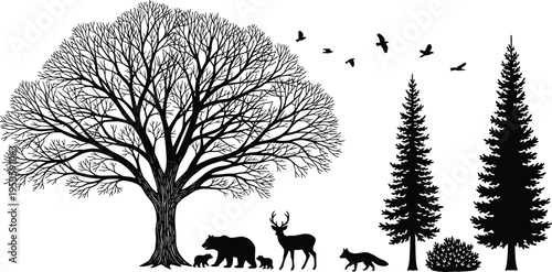 Silhouette forest wildlife scene with bear cubs, deer, fox, birds, deciduous and coniferous trees in natural woodland vector  