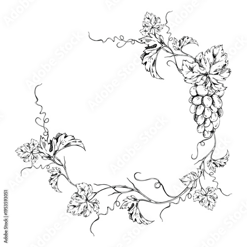 Rustic grapevine wreath frame of twisting tendrils, leaf branches and grape bunches. Ink vector illustration hand drawn for vineyard branding, harvest festival graphics, paper bags and eco packaging.