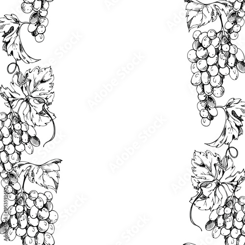 Grape clusters, leaves and spiraling tendril creepers in hand drawn continuous double banner. Seamless ink vector illustration. Restaurant menus, wine events, bottle gift sets and presentation boxes.