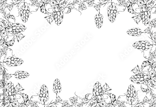 Elegant grapevine frame composed of detailed leaves, spiraling tendrils and hanging grape clusters. Isolated vector illustration in ink hand drawn for wine branding, quality certificates, signage.
