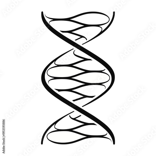 Vector of a dna double helix structure